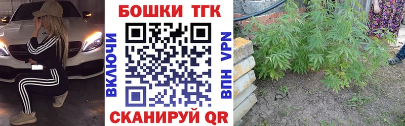 продажа наркотиков  Трубчевск  Канабис ГИДРОПОН 